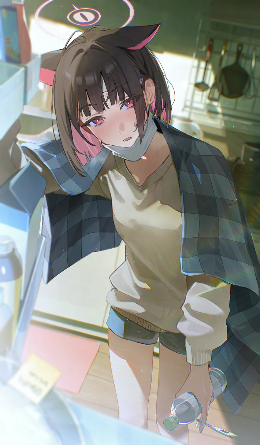 Kazusa (Blue Archive) Rule 34 Image