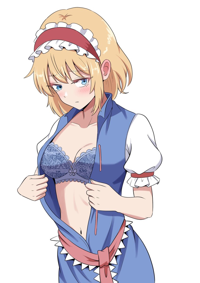 Alice Margatroid (Touhou) Rule 34 Image