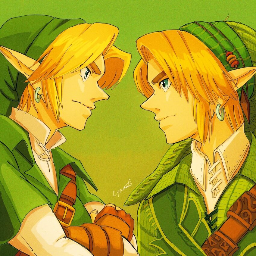 Link (Nintendo) Rule 34 Image