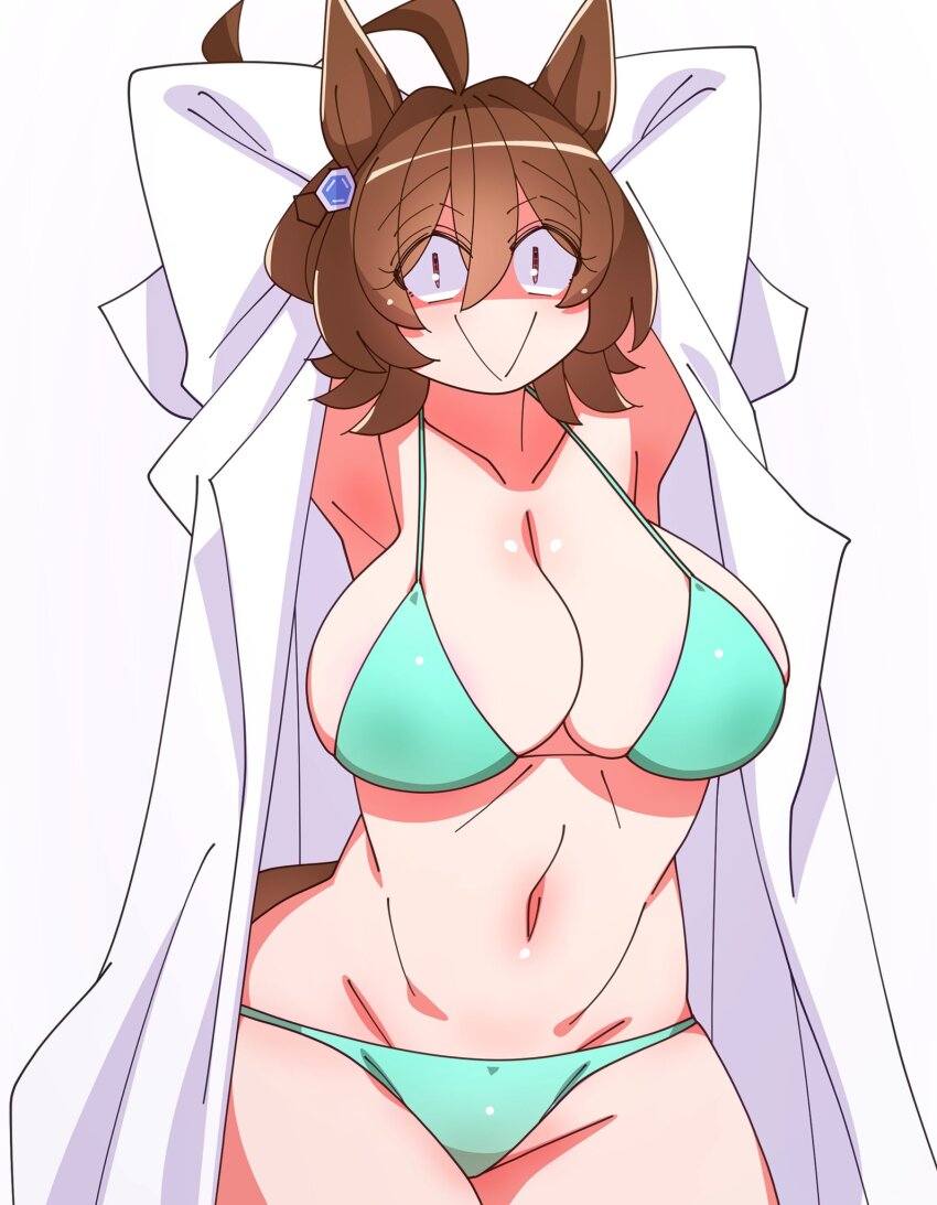 Agnes Tachyon (Umamusume) Rule 34 Image