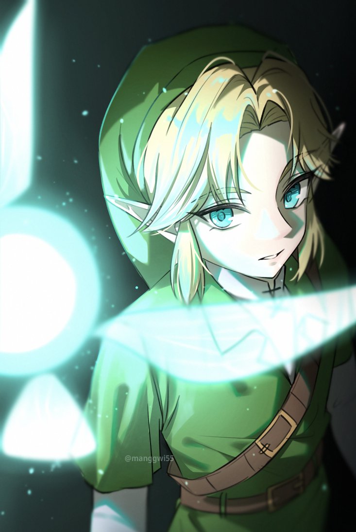 Link (Nintendo) Rule 34 Image