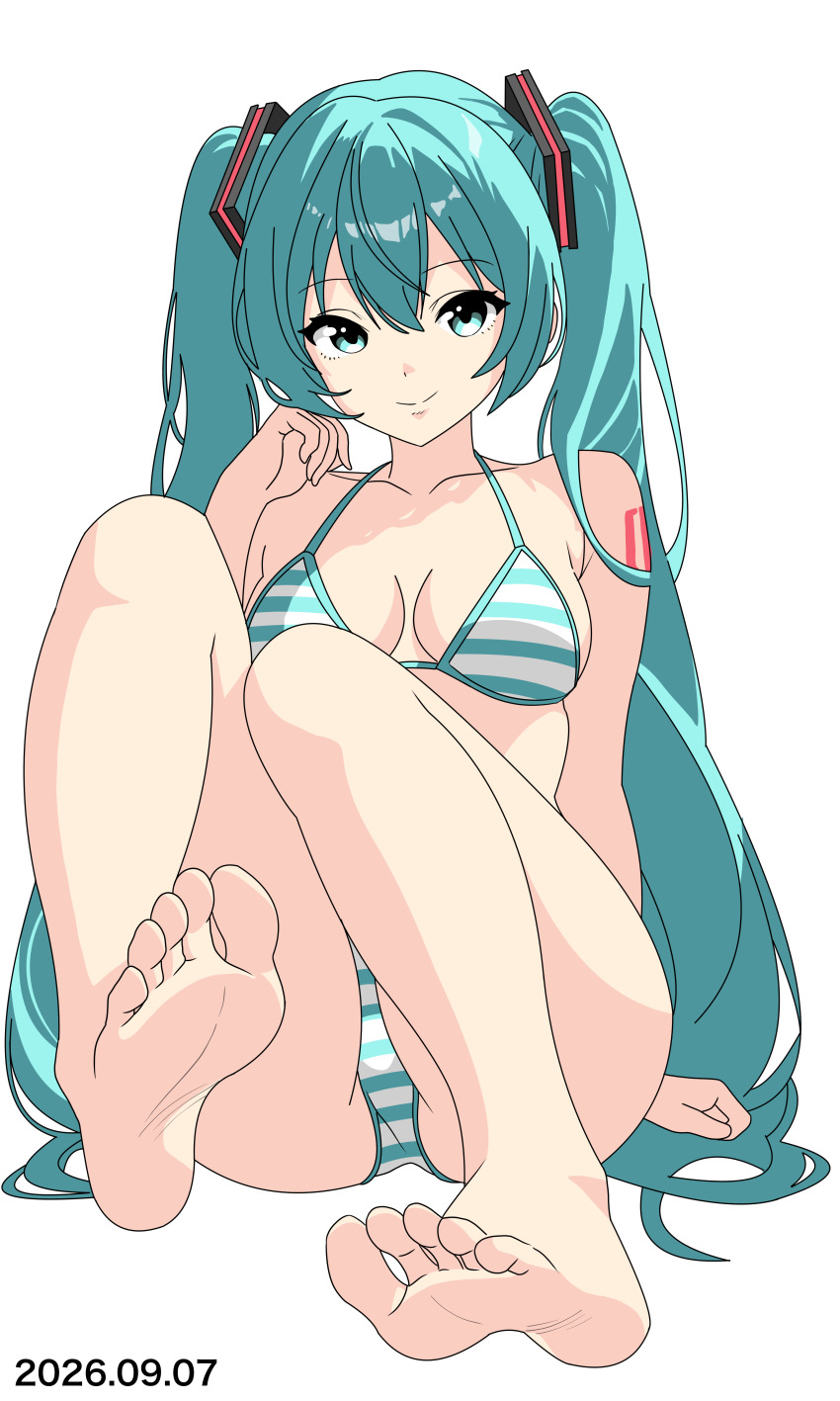 Hatsune Miku (Vocaloid) Rule 34 Image