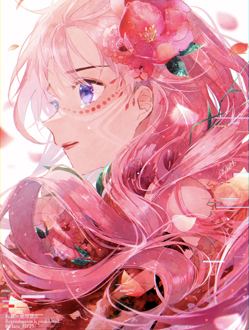 Belle (Ryuu To Sobakasu No Hime) Rule 34 Image