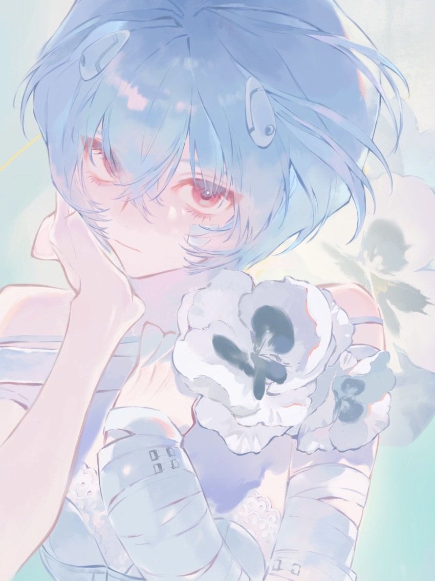 Ayanami Rei (Neon Genesis Evangelion) Rule 34 Image