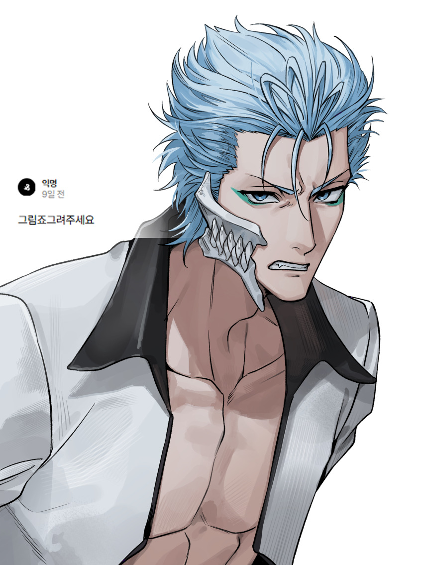 Grimmjow Jaegerjaquez (Bleach) Rule 34 Image