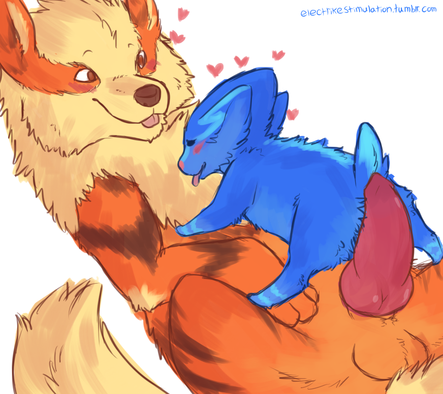 Arcanine (Nintendo) Rule 34 Image