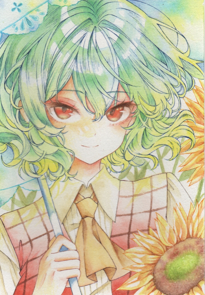 Kazami Yuuka (Touhou) Rule 34 Image
