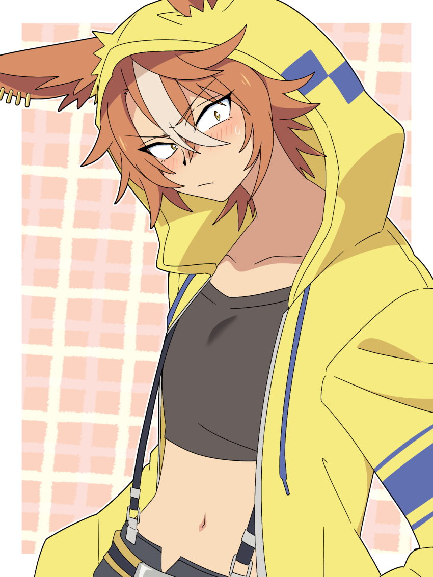 Dicta Striker (Umamusume) Rule 34 Image