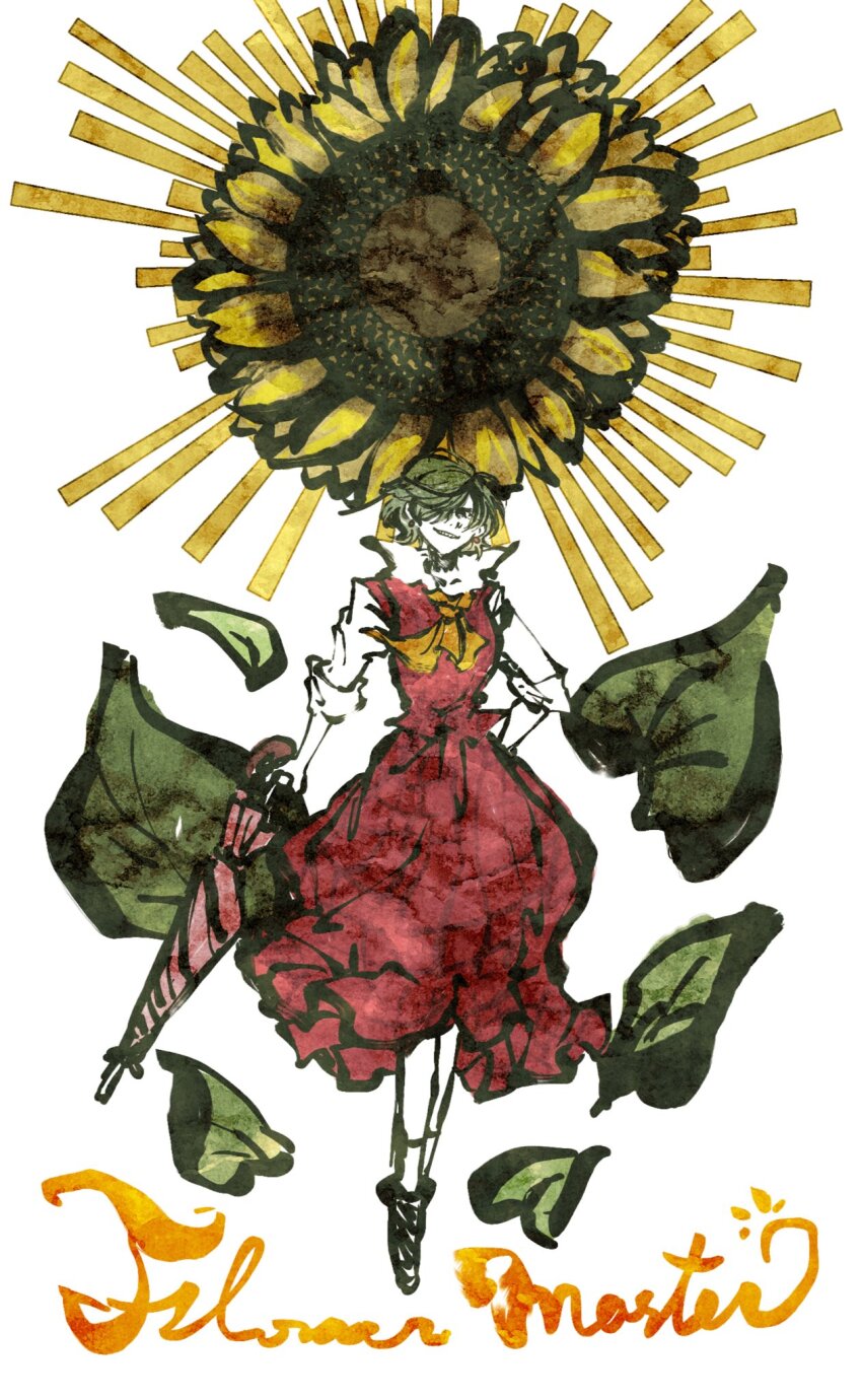 Kazami Yuuka (Touhou) Rule 34 Image
