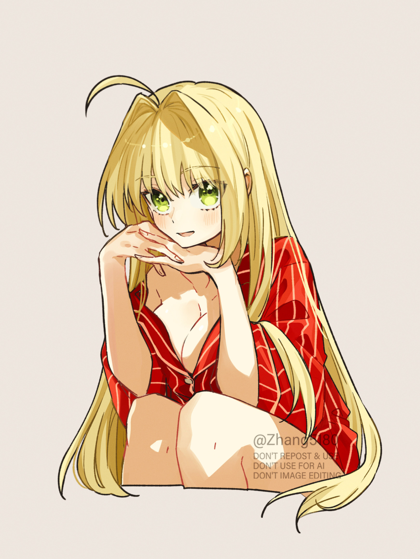 Nero Claudius (Fate) Rule 34 Image