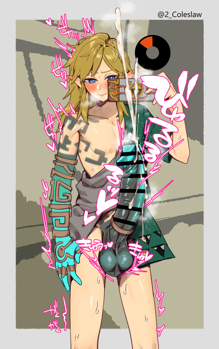 Link (Nintendo) Rule 34 Image