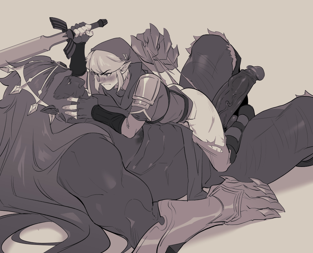 Ganondorf (Hyrule Warriors) Rule 34 Image