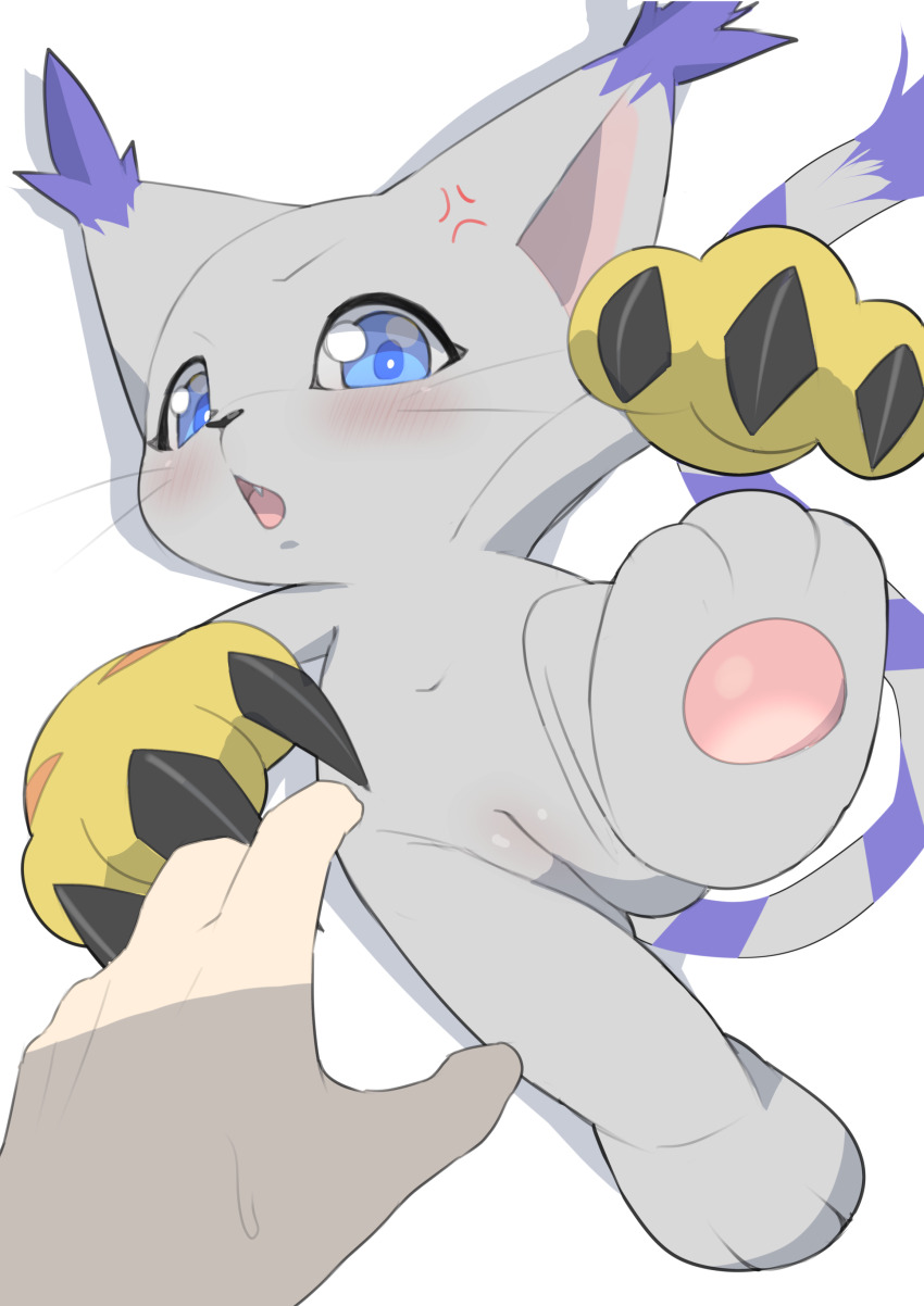 Tailmon (Digimon) Rule 34 Image