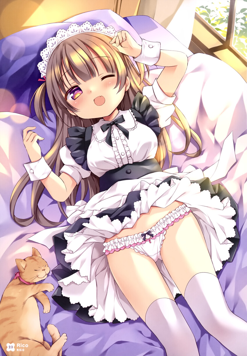 Dengeki Moeoh Rule 34 Image