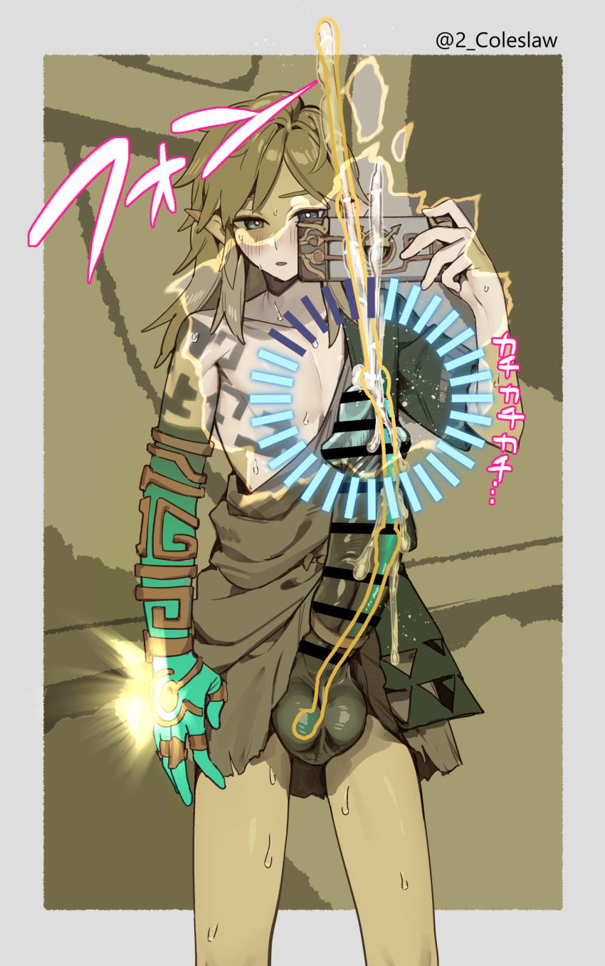 Link (Nintendo) Rule 34 Image