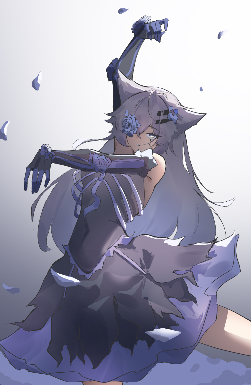 Lappland (Arknights) Rule 34 Image
