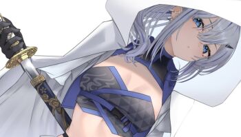 Din (Flypaper) Rule 34 Image