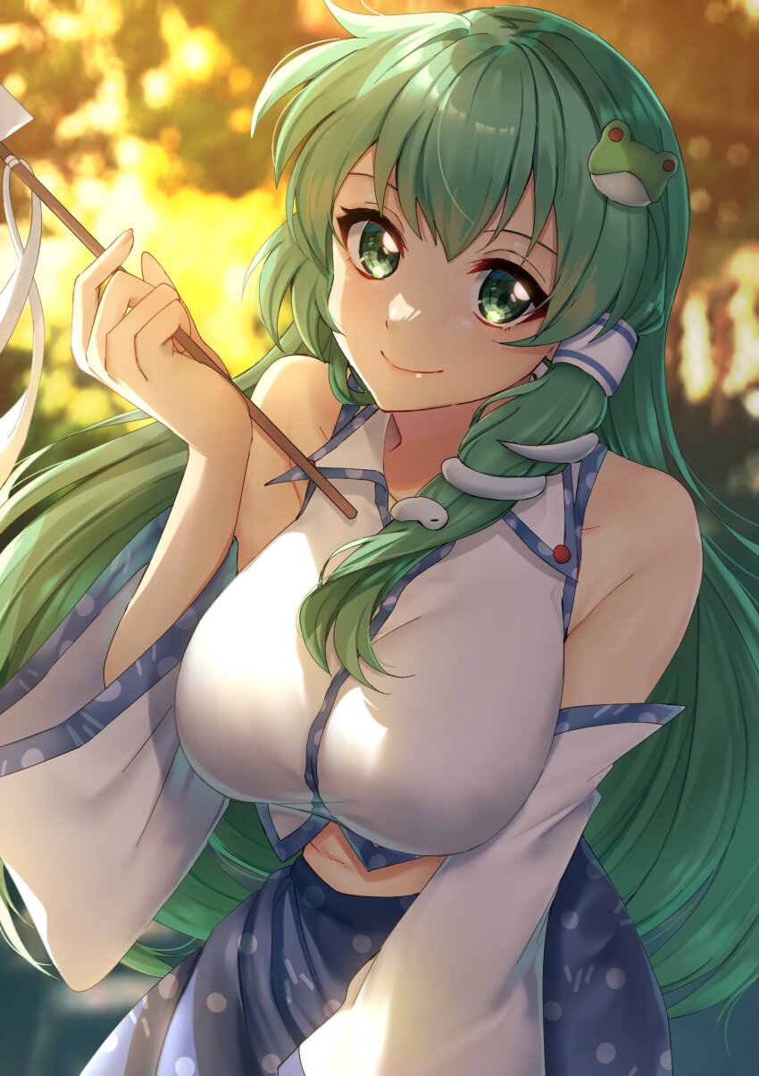 Kochiya Sanae (Touhou) Rule 34 Image