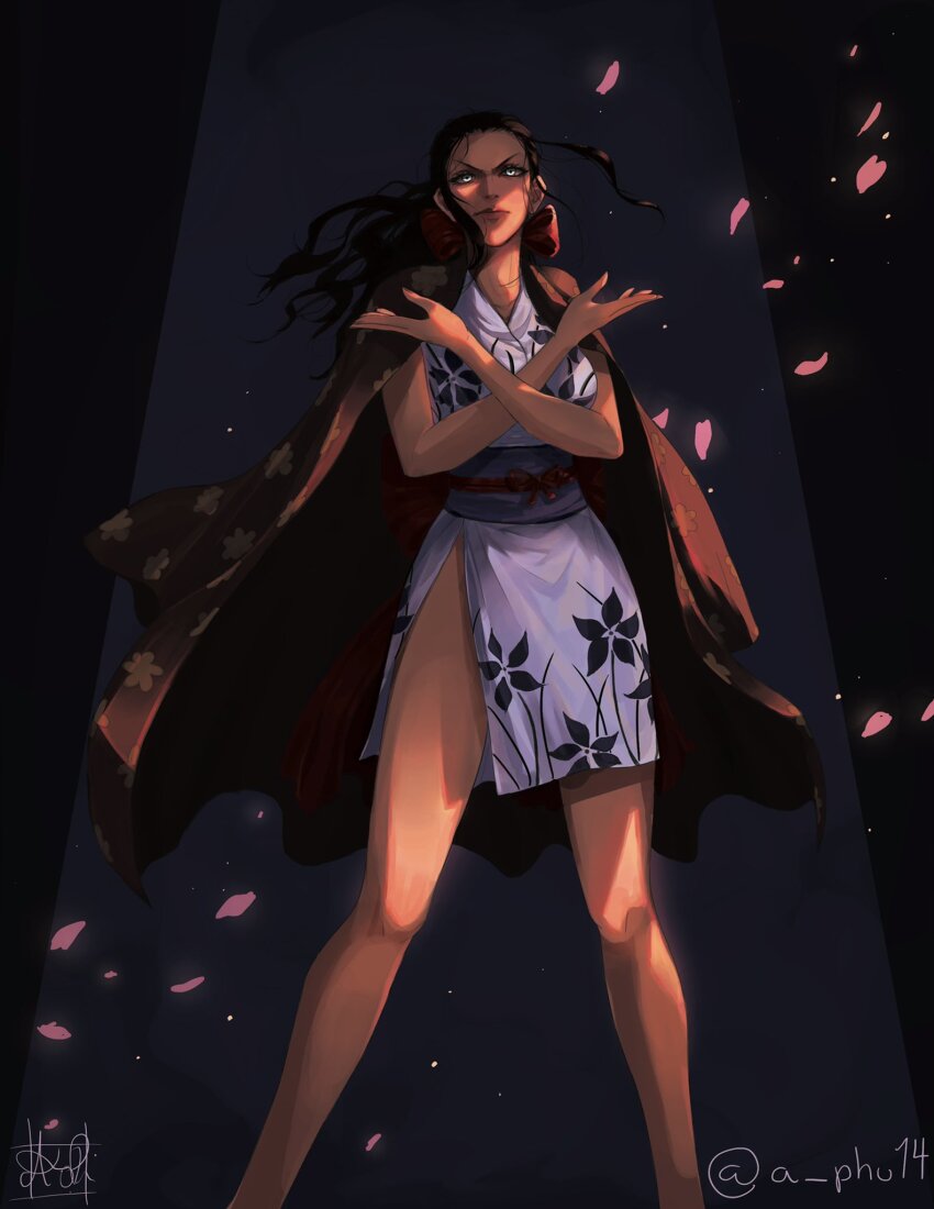 Nico Robin (One Piece) Rule 34 Image