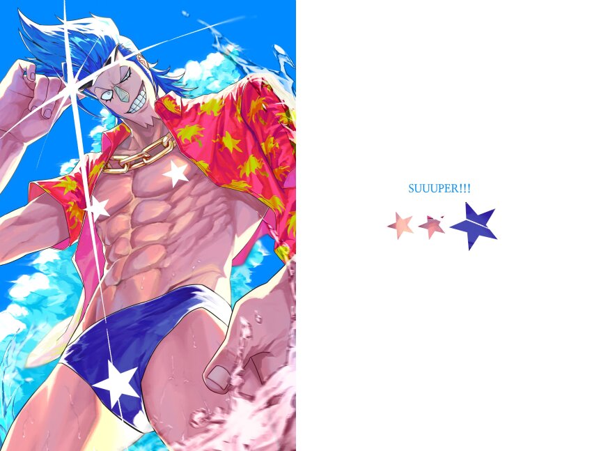 Franky (One Piece) Rule 34 Image