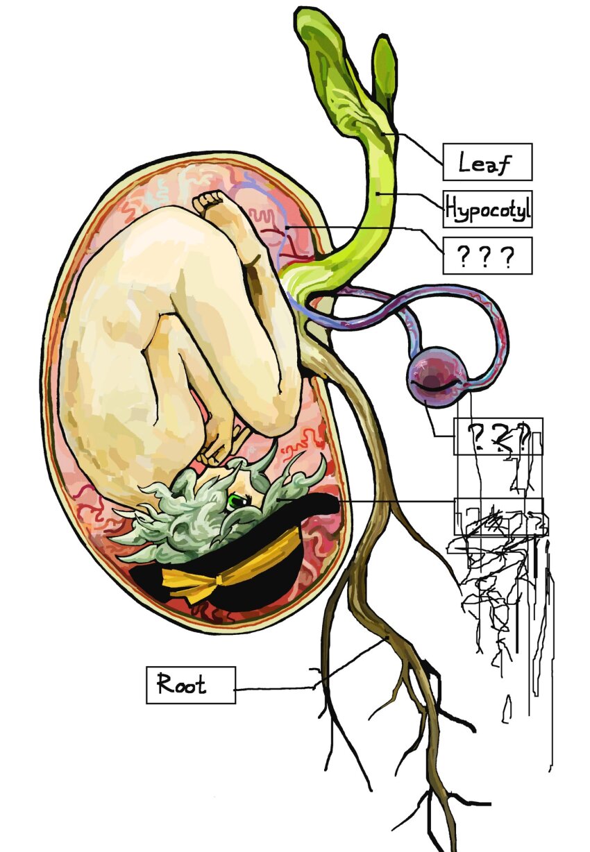 Komeiji Koishi (Touhou) Rule 34 Image