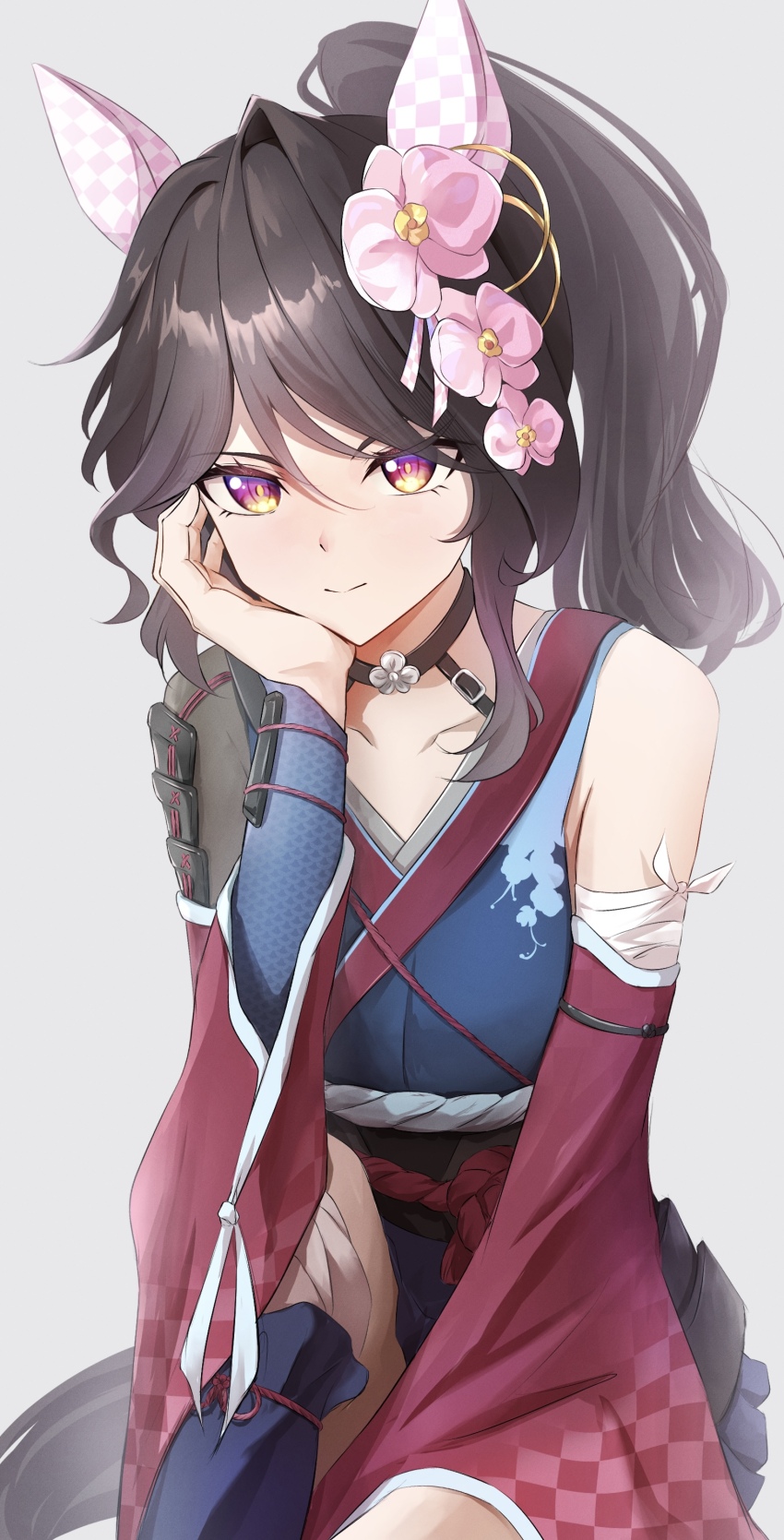 Phalaenopsis (Umamusume) Rule 34 Image