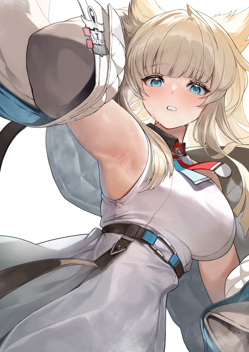 Perlica (Arknights) Rule 34 Image