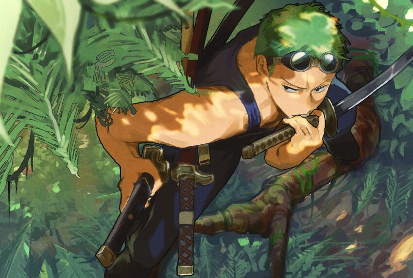 Roronoa Zoro (One Piece) Rule 34 Image