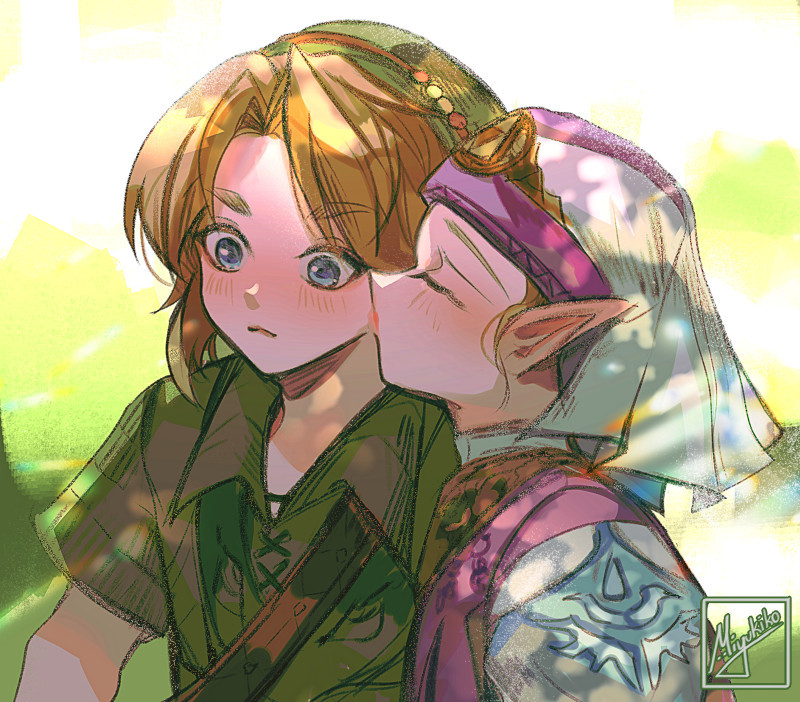 Link (Nintendo) Rule 34 Image