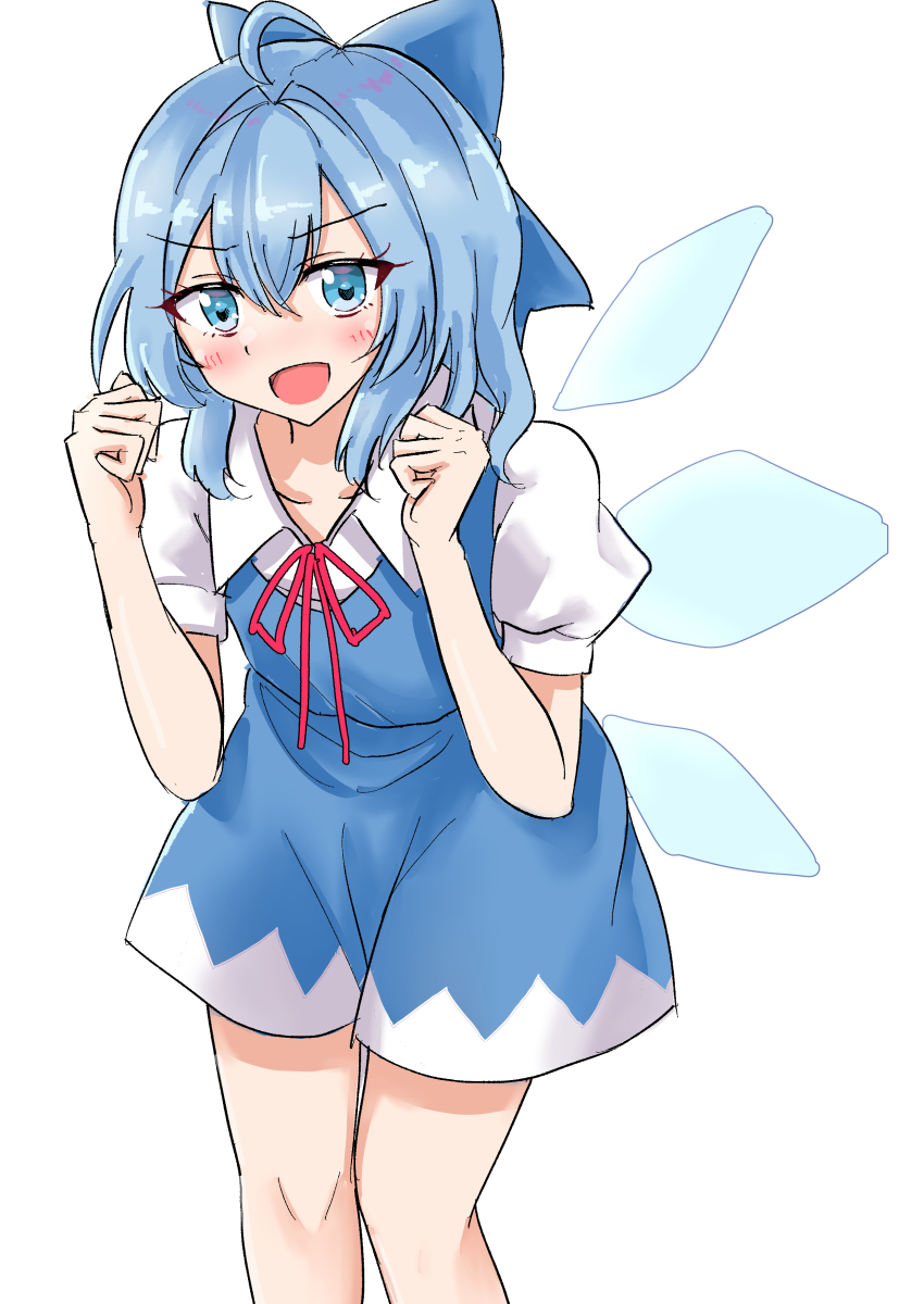 Cirno (Touhou) Rule 34 Image