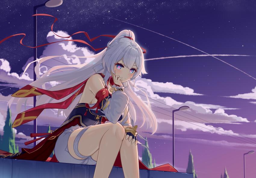 Kiana Kaslana (Honkai (Series)) Rule 34 Image
