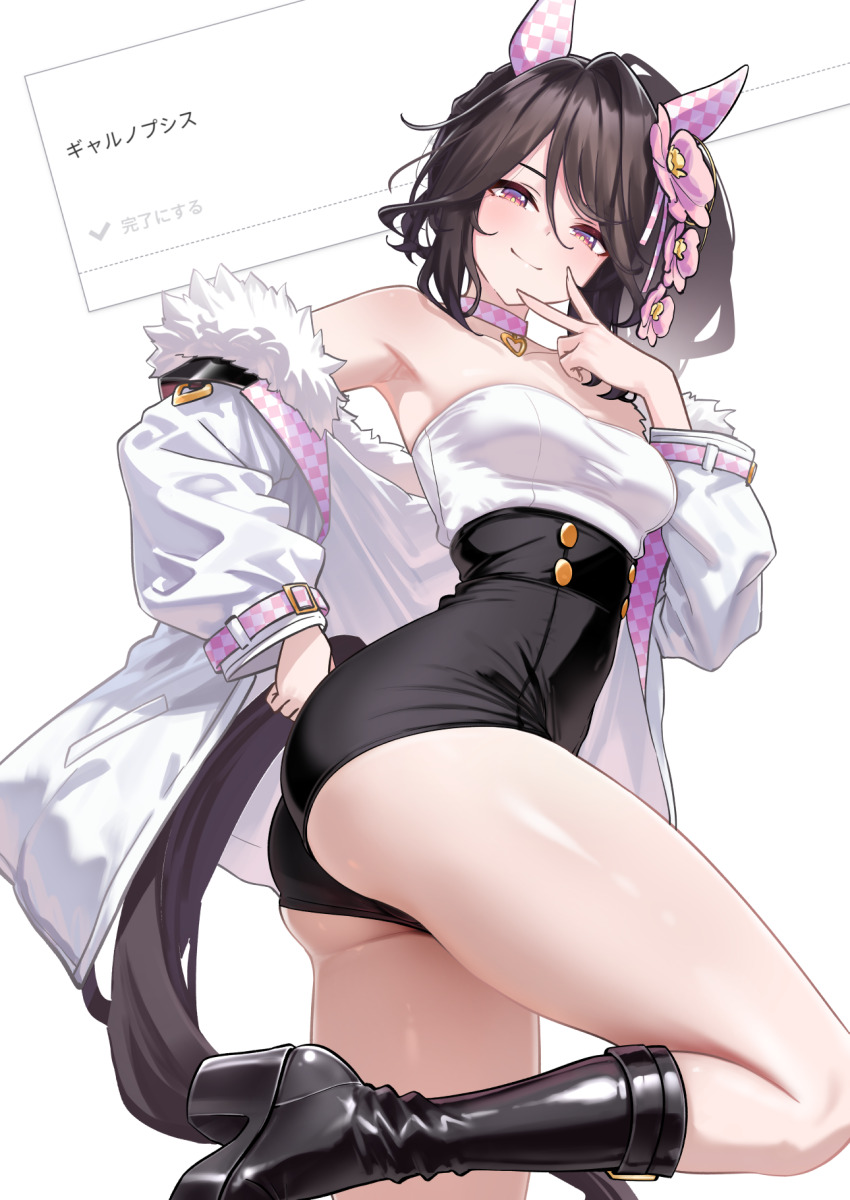 Phalaenopsis (Umamusume) Rule 34 Image