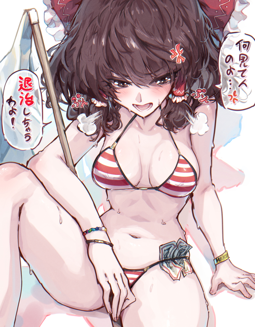 Hakurei Reimu (Touhou) Rule 34 Image