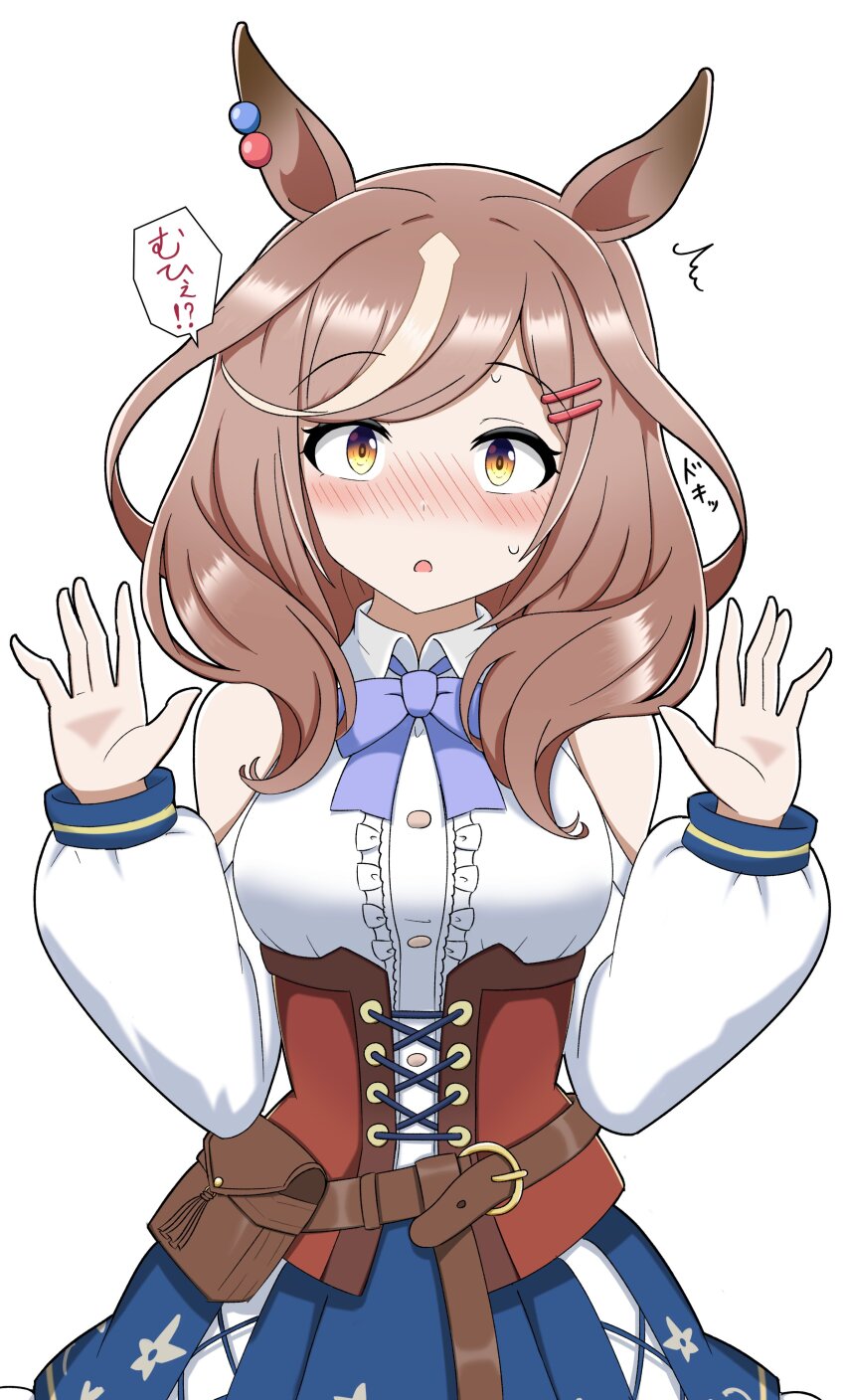 Umamusume Rule 34 Image