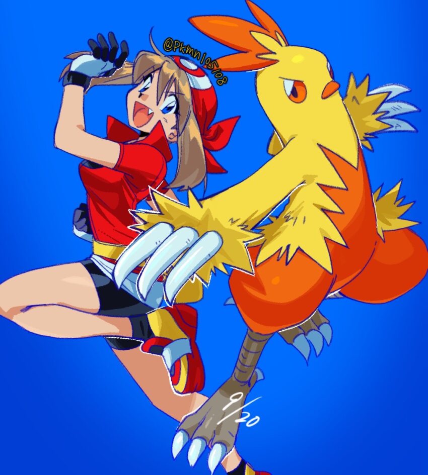 Combusken (Nintendo) Rule 34 Image