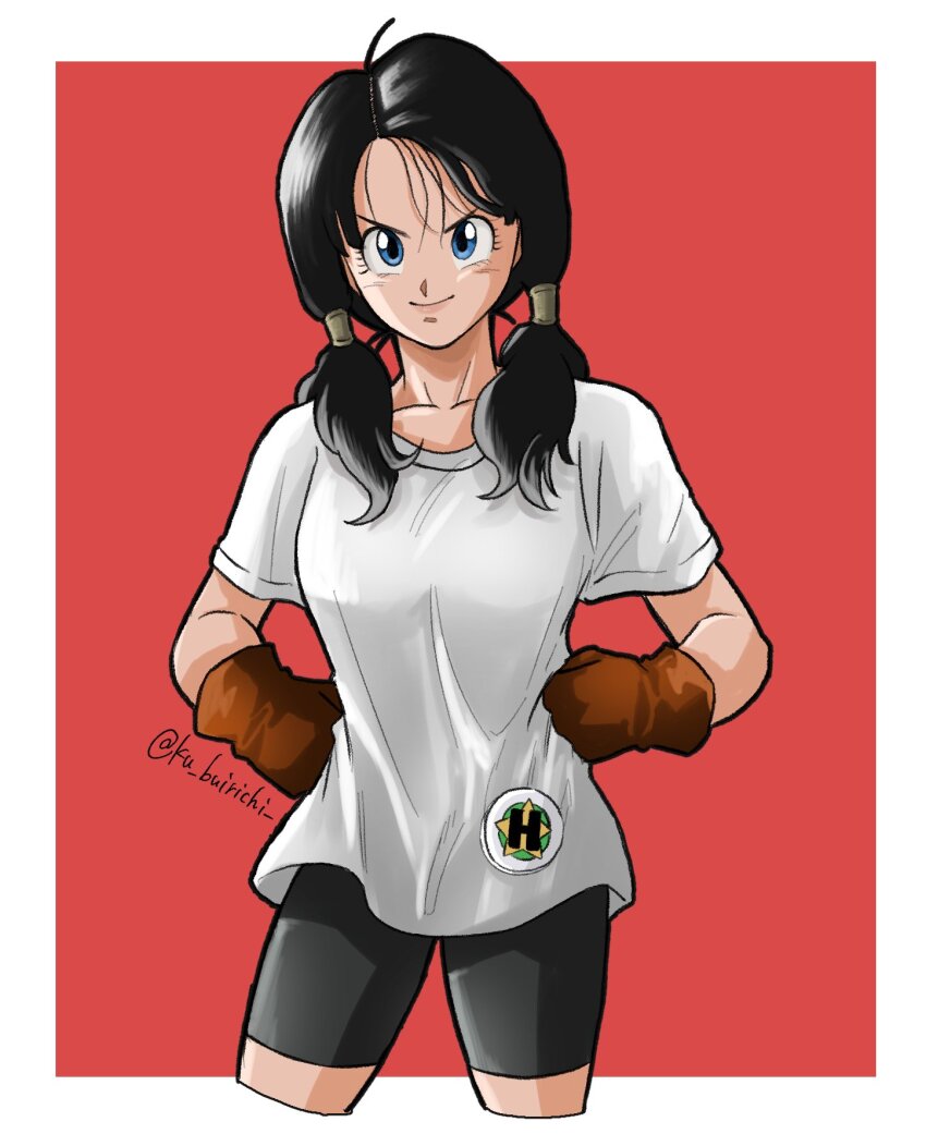 Videl (Dragon Ball) Rule 34 Image