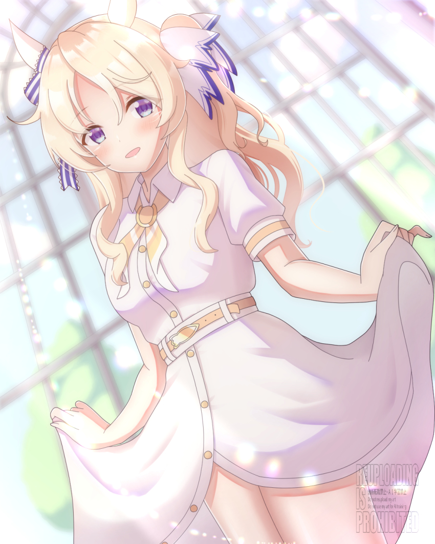 Victoire Pisa (Umamusume) Rule 34 Image