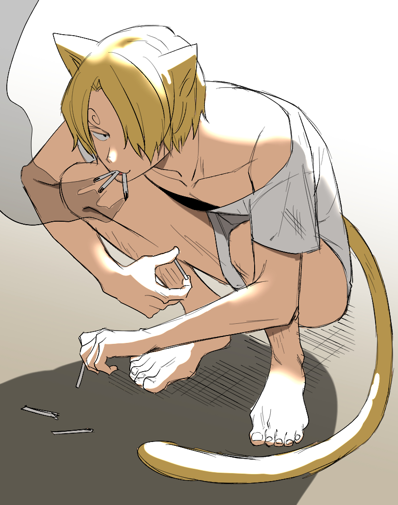 Sanji (One Piece) Rule 34 Image