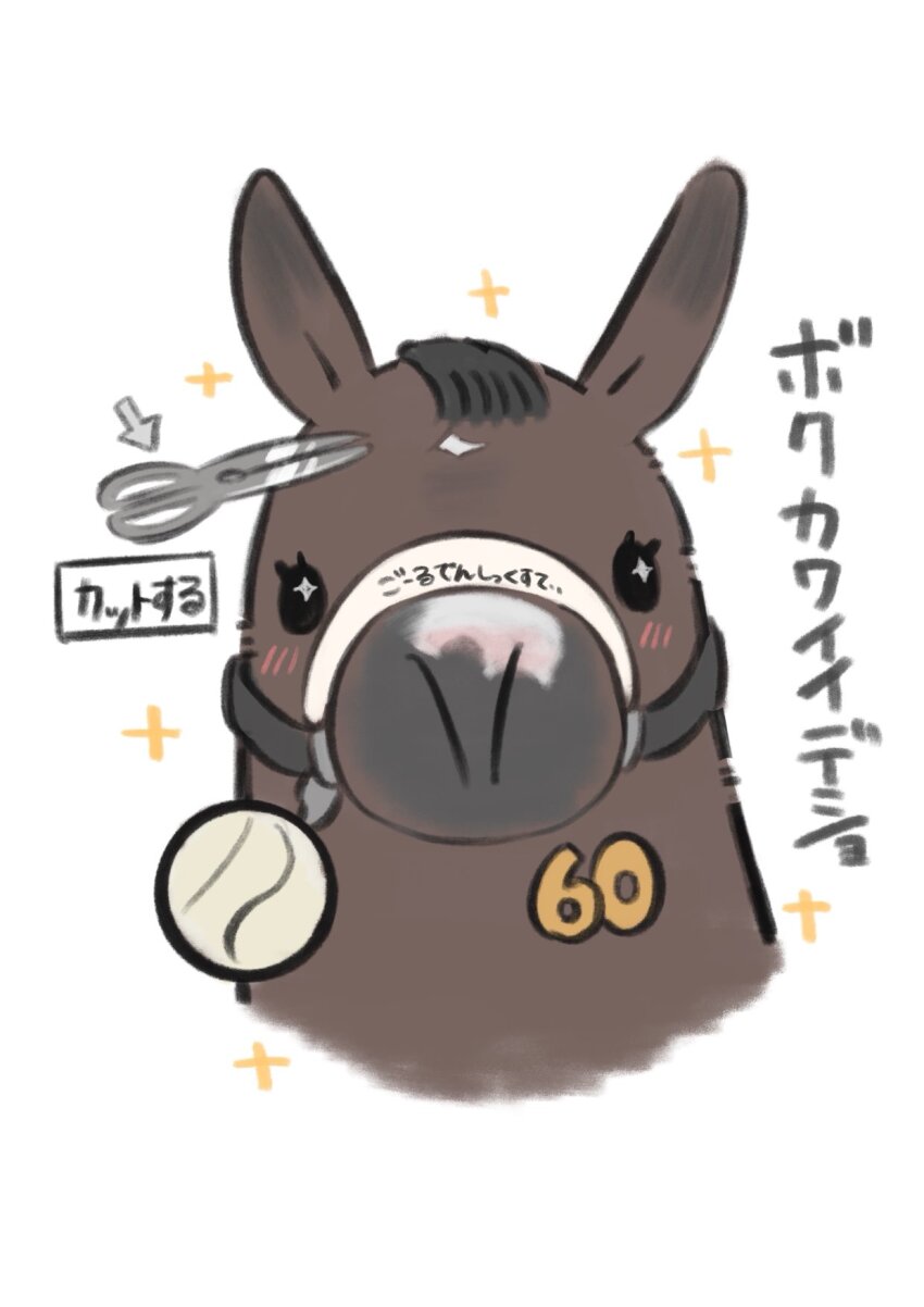Real Life Rule 34 Image