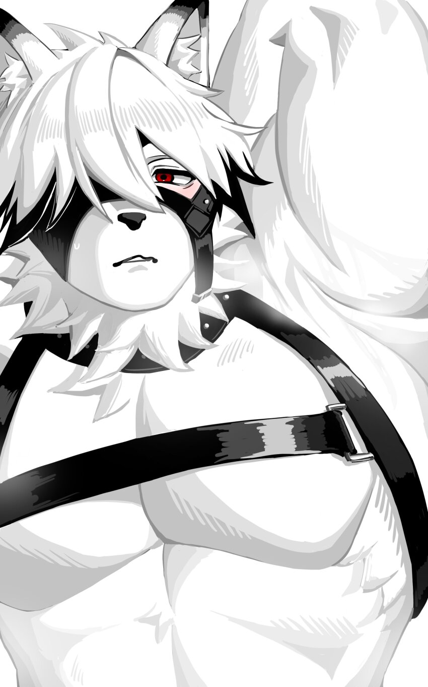 Von Lycaon (Zenless Zone Zero) Rule 34 Image