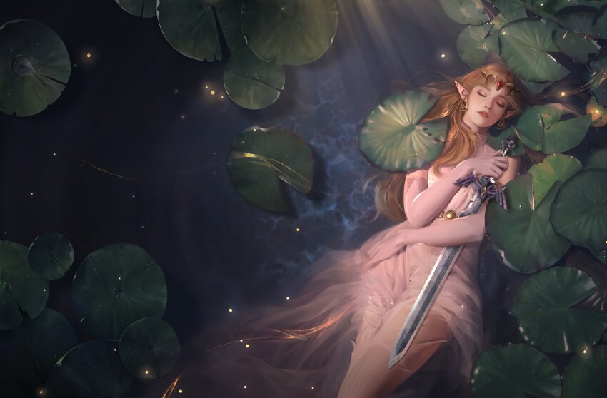 Princess Zelda (Nintendo) Rule 34 Image