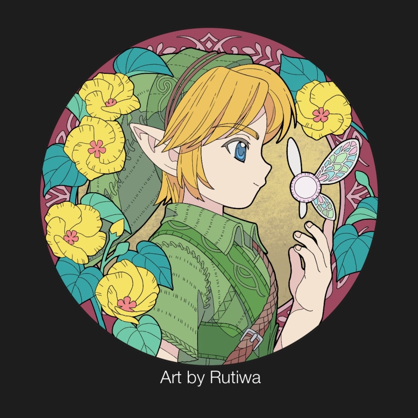 Link (Nintendo) Rule 34 Image
