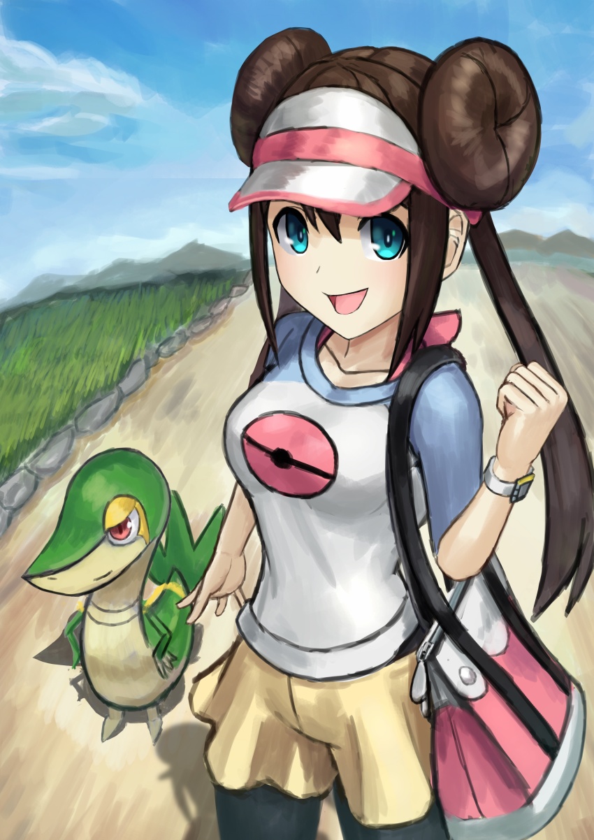 Gen 5 Pokemon (Nintendo) Rule 34 Image