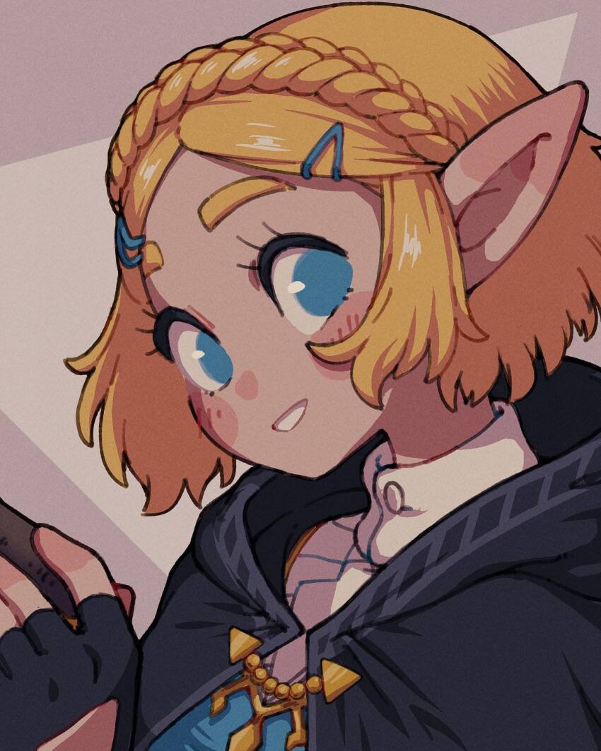 Princess Zelda (Nintendo) Rule 34 Image