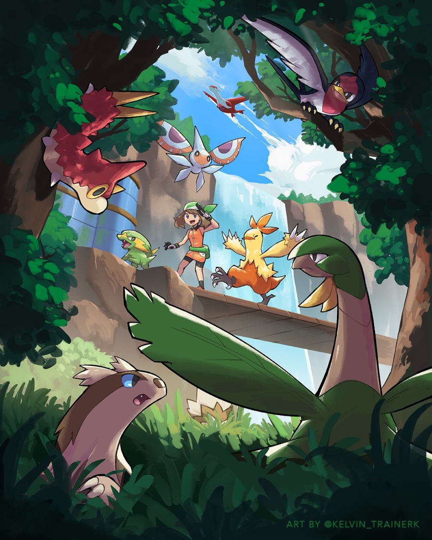 Combusken (Nintendo) Rule 34 Image