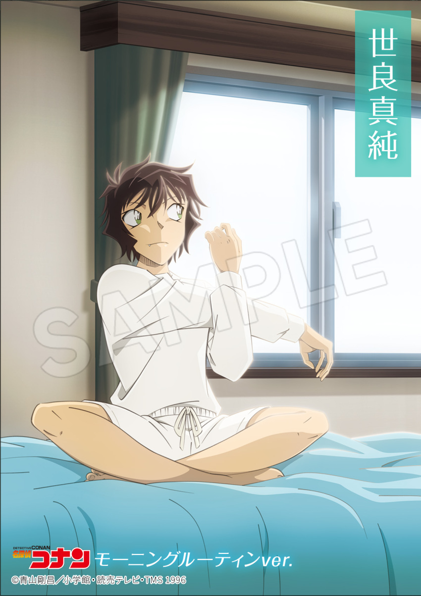 Sera Masumi (Meitantei Conan) Rule 34 Image