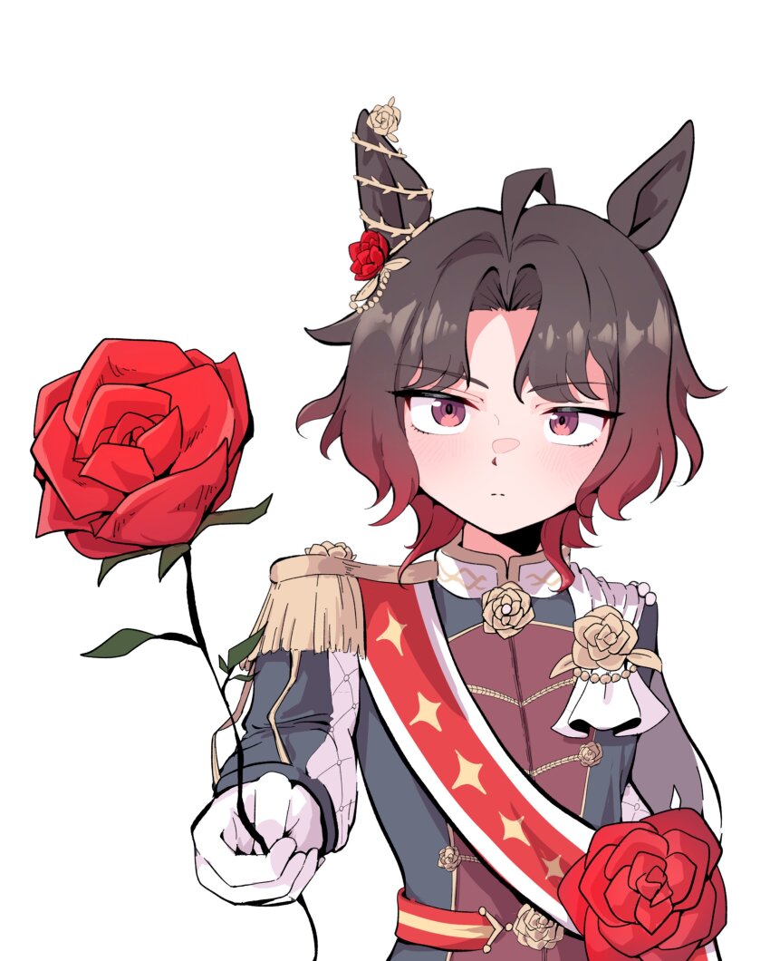 Rose Kingdom (Umamusume) Rule 34 Image