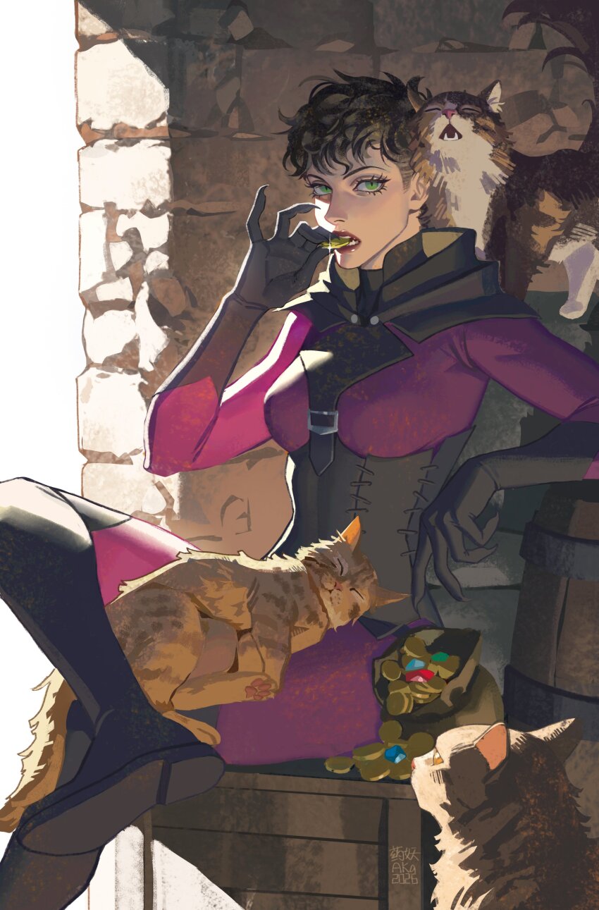 Catwoman (Batman (Series)) Rule 34 Image