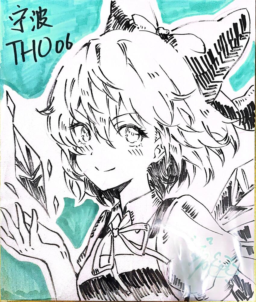 Cirno (Touhou) Rule 34 Image
