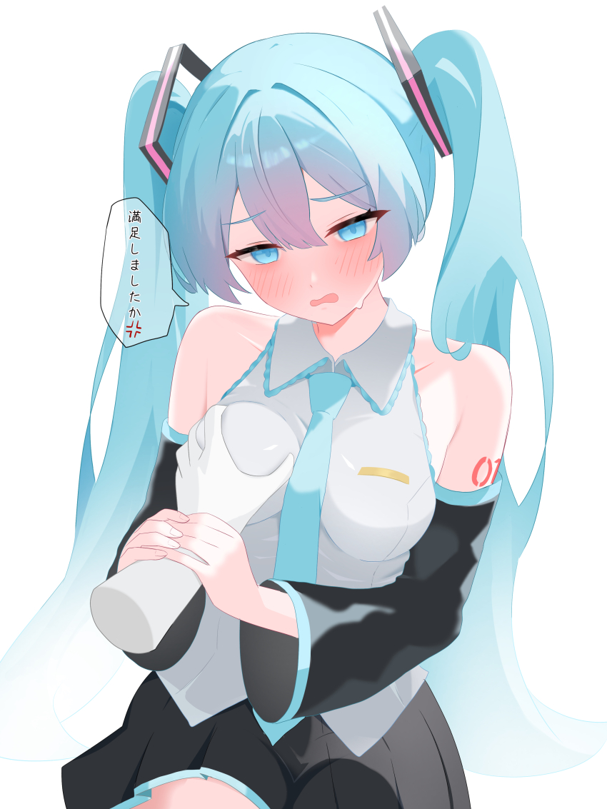 Hatsune Miku (Vocaloid) Rule 34 Image